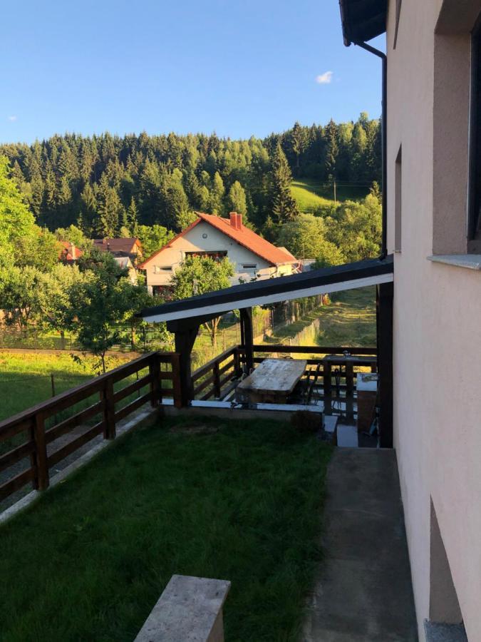 Pensiunea Exedra Otel Borşa Dış mekan fotoğraf