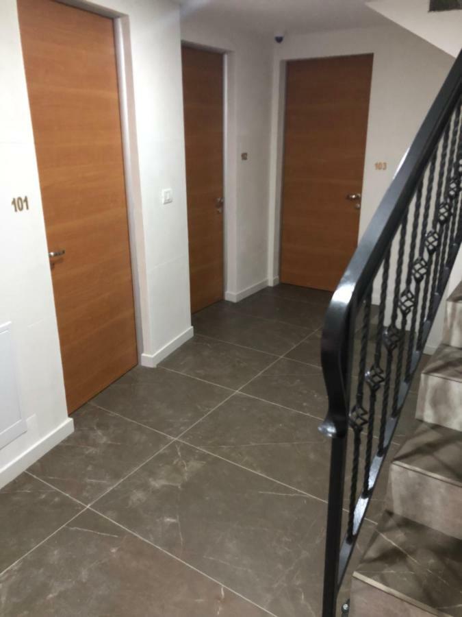 Pensiunea Exedra Otel Borşa Dış mekan fotoğraf