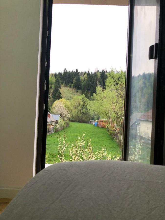 Pensiunea Exedra Otel Borşa Dış mekan fotoğraf